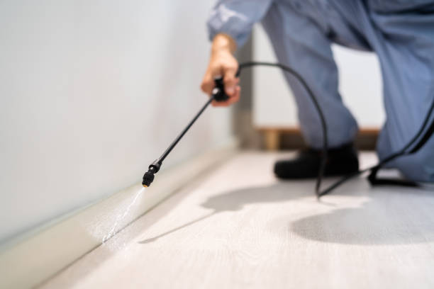 Licensed Mosquito Control service in North Laurel, MD - Show Me Pest Control