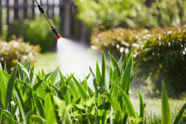 24/7 Emergency Mosquito Control experts in North Laurel, MD
